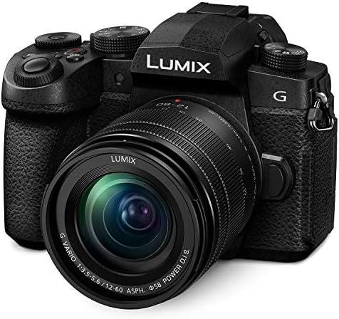 Panasonic LUMIX G95 20.3 Megapixel Mirrorless Camera,