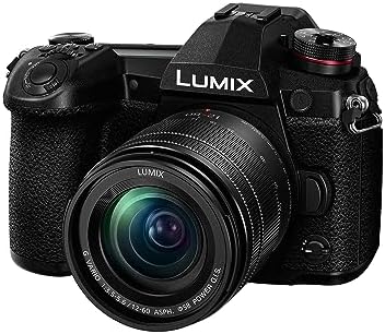 41eh7Ea98uL. AC Panasonic LUMIX G9 Mirrorless Camera, Micro Four Thirds,