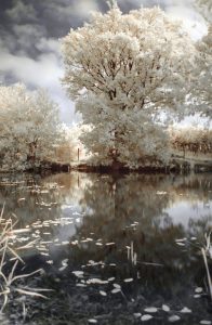 Read more about the article Unlocking the Universe: Key Infrared Astronomy Insights Revealed